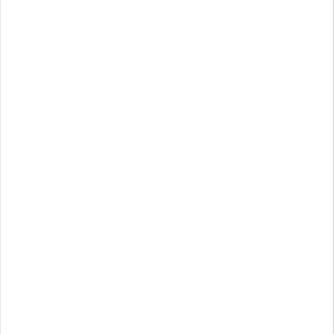 REVESTIMENTO FORMIGRES RETIFICADO HD BRANCO BRILHO 33X59 (2,02)